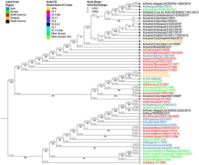 Zooming in on the molecular characteristics of swine influenza virus circulating in Colombia before and after the H1N1pdm09 virus